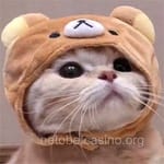 Avatar de Camilo Acosta